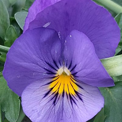 WhatsApp Image 2023-06-14 à 08.15.34