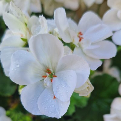 WhatsApp Image 2023-06-14 à 08.15.52