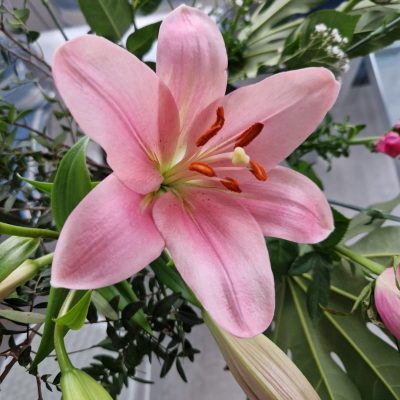 WhatsApp Image 2023-06-14 à 08.17.10