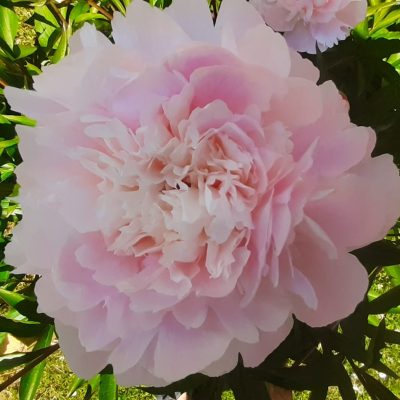 WhatsApp Image 2023-06-14 à 08.19.57