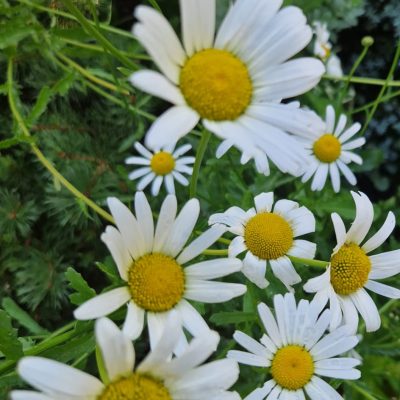 WhatsApp Image 2023-06-14 à 14.41.22